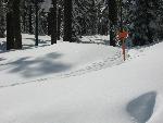 Trailhead to Forest Lake