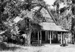 black and white photo of rustic cabin surrounded by large trees