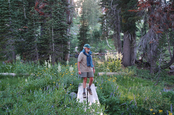 Hiker crosses a bridge to Paradise Meadows