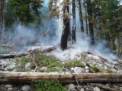 A lightning caused fire smolders in forest understory
