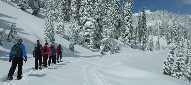 A ranger-led snowshoe walk group walks on the park highway to Sulphur Works.