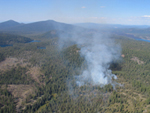 Bluff Wildland Fire Use Fire-2004.