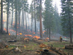 Butte Lake Prescribed Fire Afternoon Ignitions.
