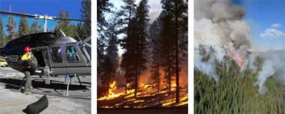 three images with one showing firefighter loading ignition balls on helicopter, another showing a prescribed fire burning, and the last showing the crown fire during 2004's Bluff fire.