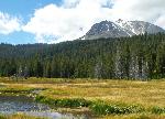Hat Creek Meadow Fall