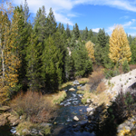 hat creek with aspens showing fall colors.