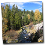 hat creek with aspens showing fall colors.