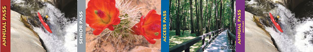 America the Beautiful pass series