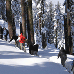 ranger-led-snowshoe-walk