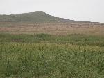 Spirit Mound