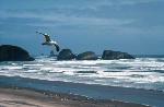 Cannon Beach, OR
