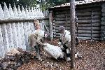 Driftwood at Fort Clatsop