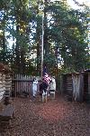 Flag Raising at Fort Clatsop