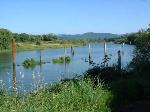 Netul River