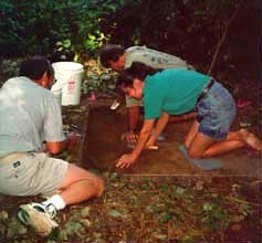 Excavation 1996