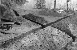 schumacher excavation
