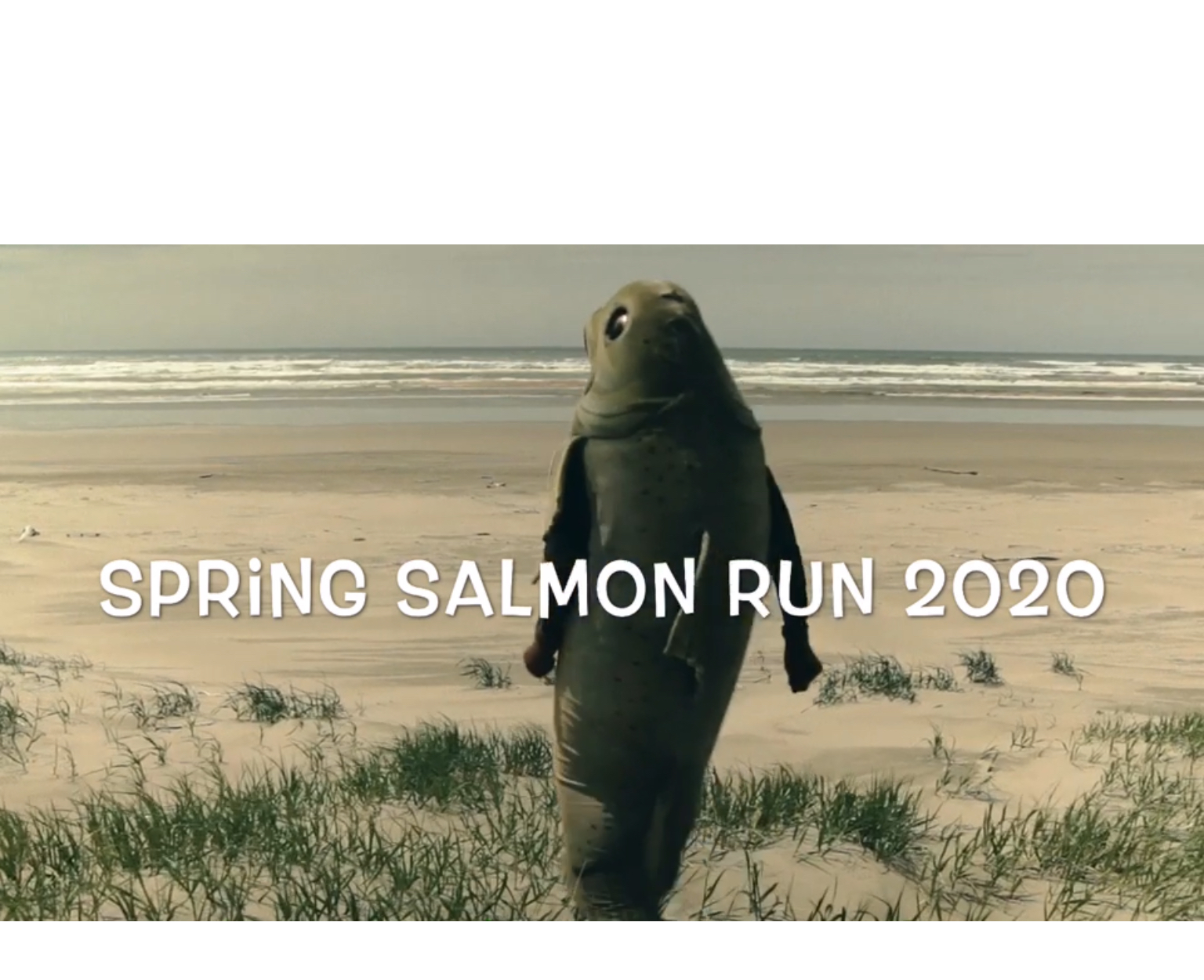 Person in Salmon costume walking across dunes to beach with words Spring Salmon Run 2020 across the middle