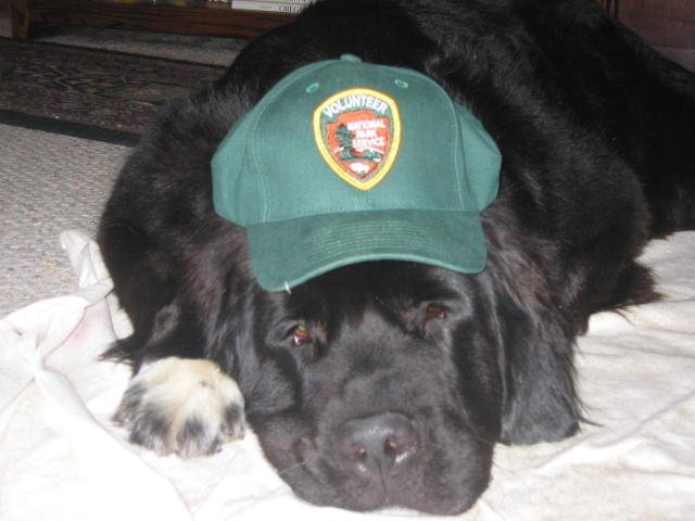 Volunteer Dolly in her VIP cap