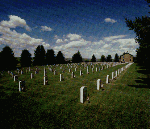 Photo of rows of grave markers