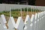 Heirloom Garden