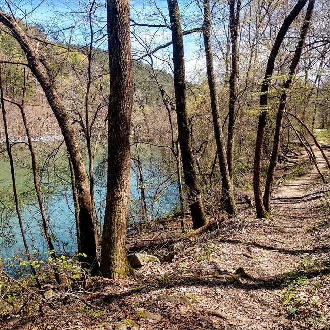 Canyon Mouth Park trail runs parallel to Little River.