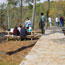 Little River Falls Boardwalk Overlook gives you a distant view of the falls.