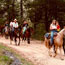There are 23 miles of road to ride horses on.
