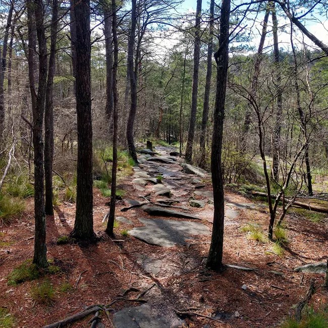 A sandstone-laden trail on Little Falls trail that leads to a popular summer swimming hole.