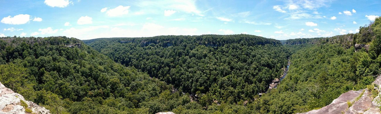View of the lush green canyon with a bend in the river from a canyon rim overlook.