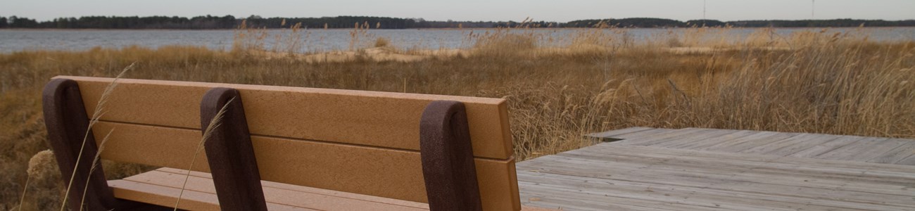 A bench on a small boardwalk overlooking a marsh.