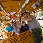 Trolley Tour