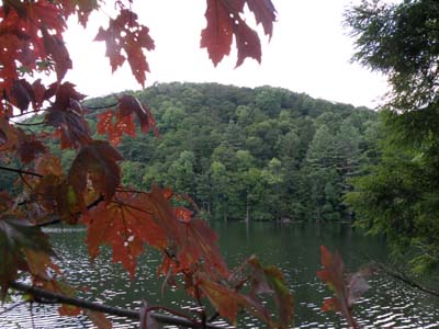 Fall Colors at the Pogue