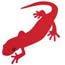 Salamander