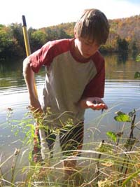 Sampling for dragonfly larva