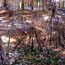 teepees - sculpture