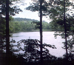Trees line the banks of the Pogue, a quiet mountain pond. Photo by Emily Sloan.