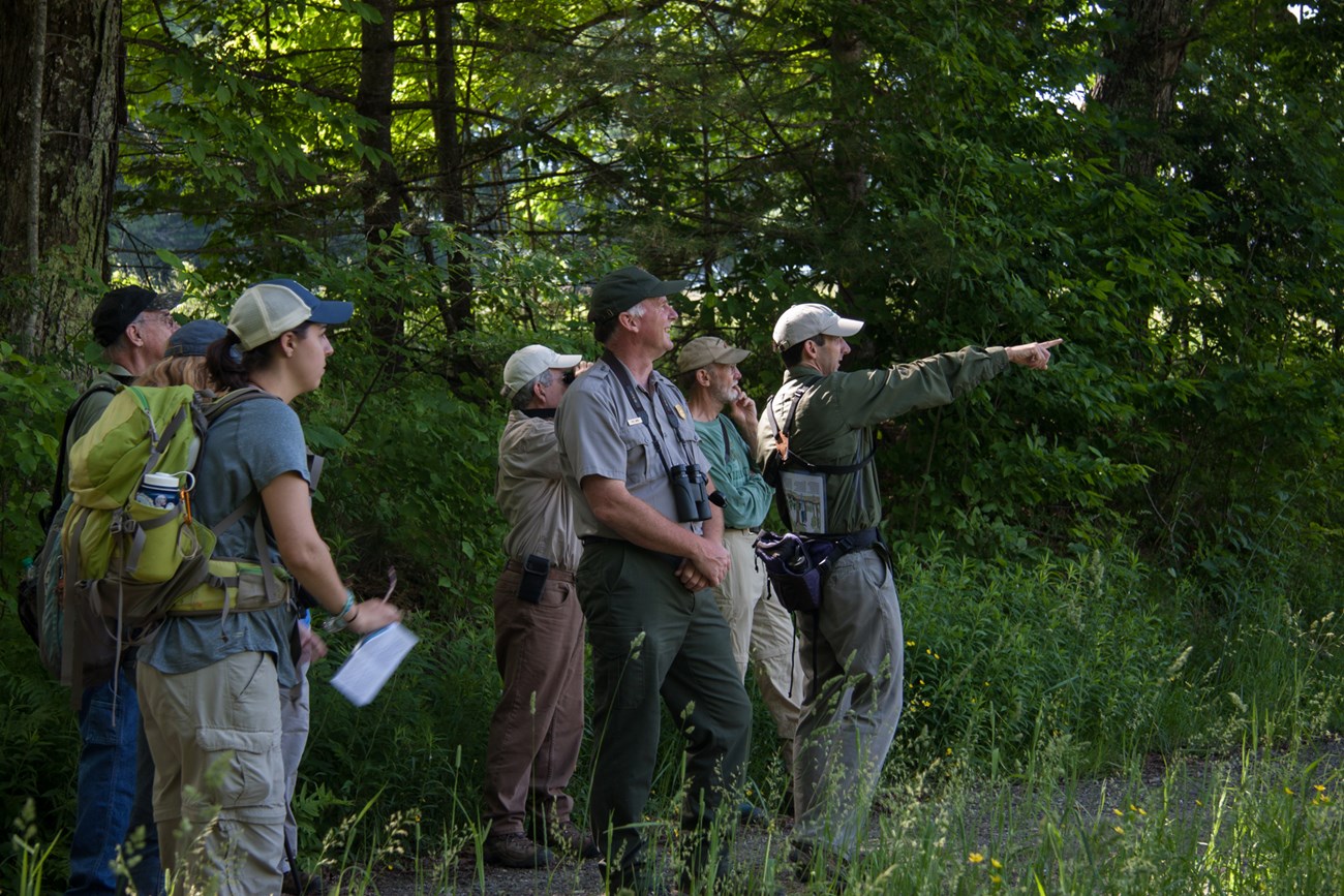Park Ranger and group of 6 people standing in forest look and point to something out of frame