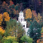 The white steeple of a church is visible through the treetops.