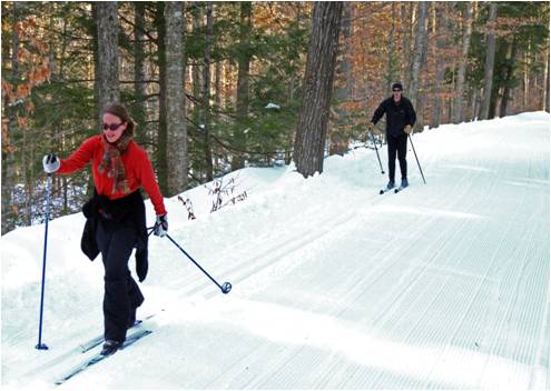 xc skiiers