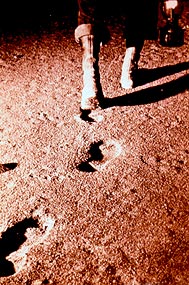 Footsteps into New Discovery