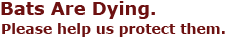 Text: Bats are Dying. Please help us to save them.