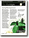Cover: The Flashlight, March 2010