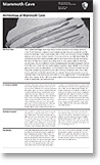 Archeology site bulletin
