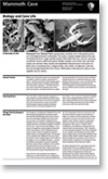 Biology site bulletin