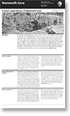 Short Legal History site bulletin