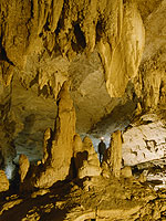 Nativity formation in Great Onyx Cave