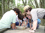 School class at Sloan's Crossing Pond