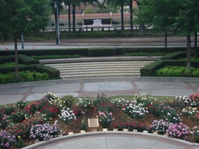 Front view of MLK, Jr. Rose Garden