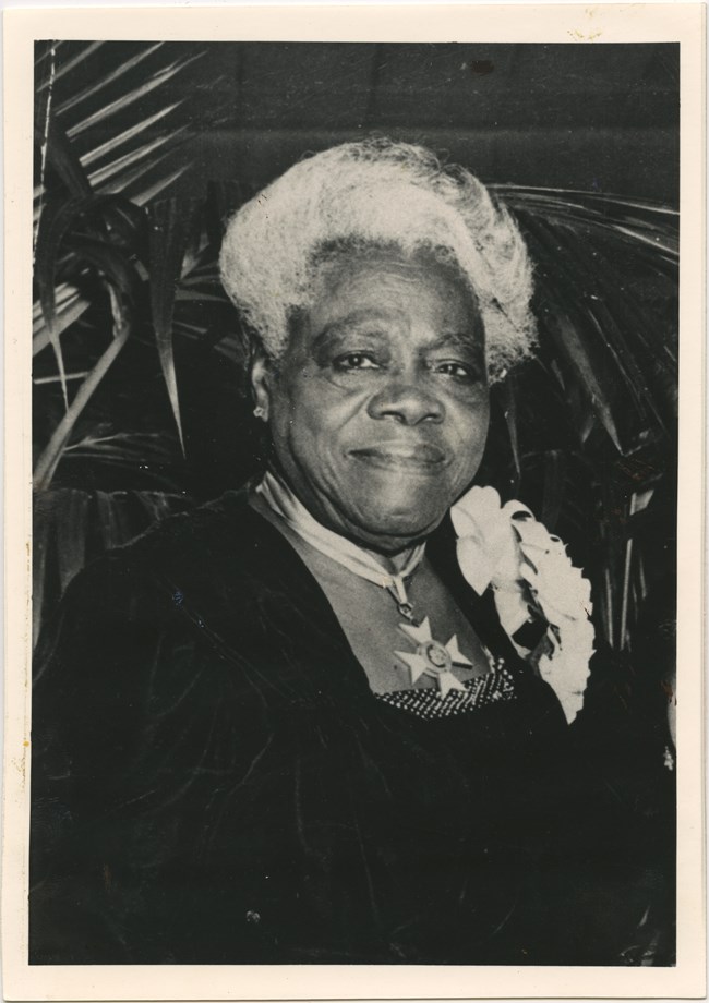 Mary McLeod Bethune Portrait