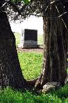 Bartow Monument